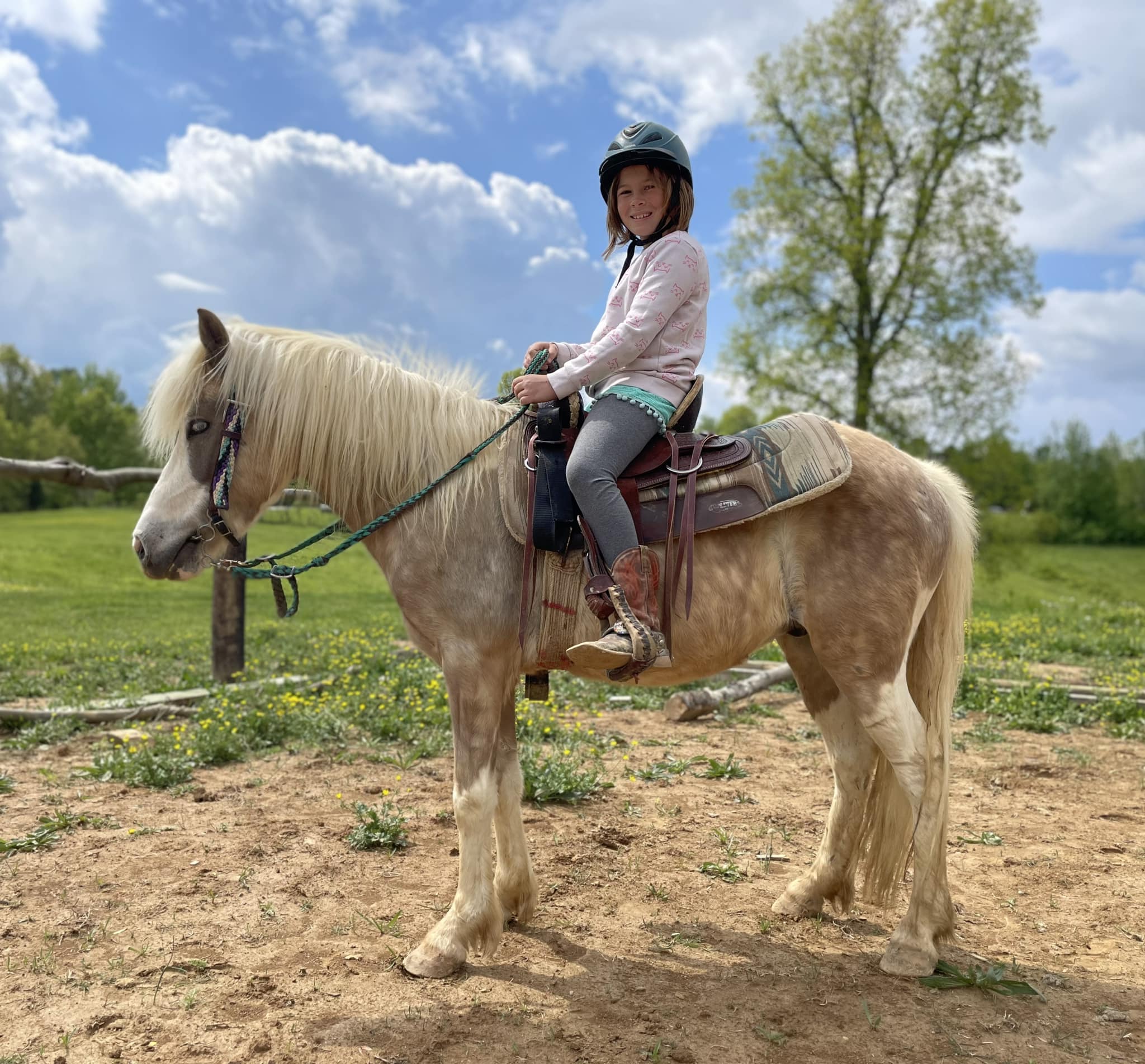 476084282_596842366569068_1463954001875975034_n Little girl riding a large palomino pony